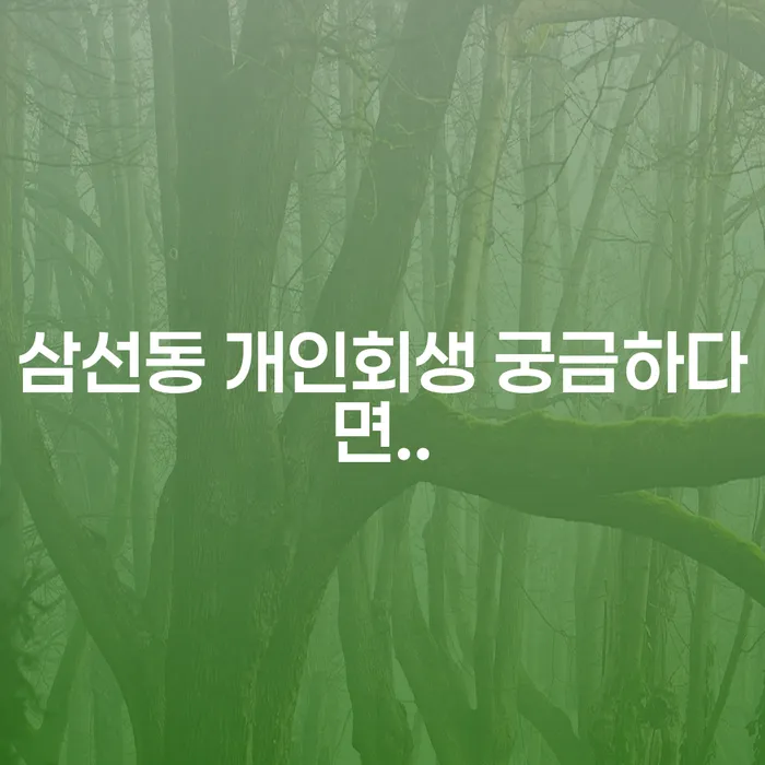 삼선동 개인회생 궁금하다면..