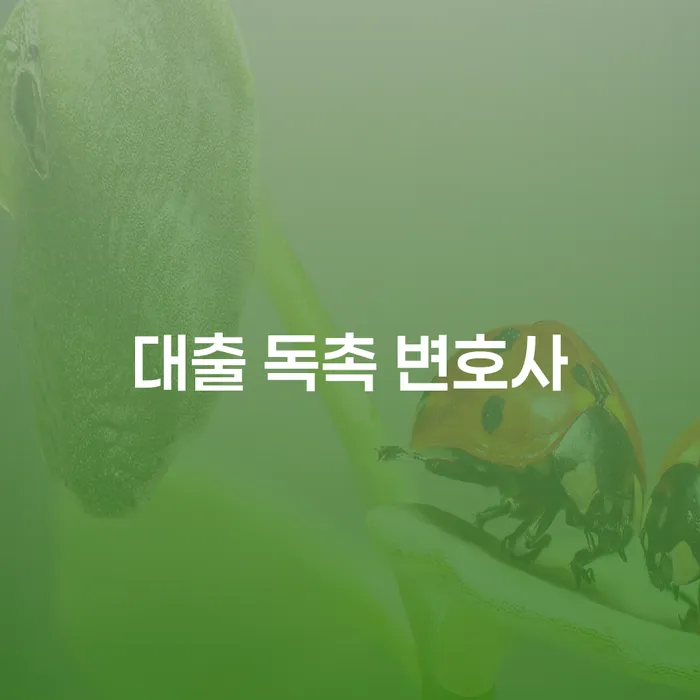 대출 독촉에 시달릴 때 변호사의 도움이 필요할까요?